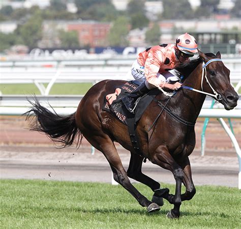 The Black Caviar Lightning in numbers .